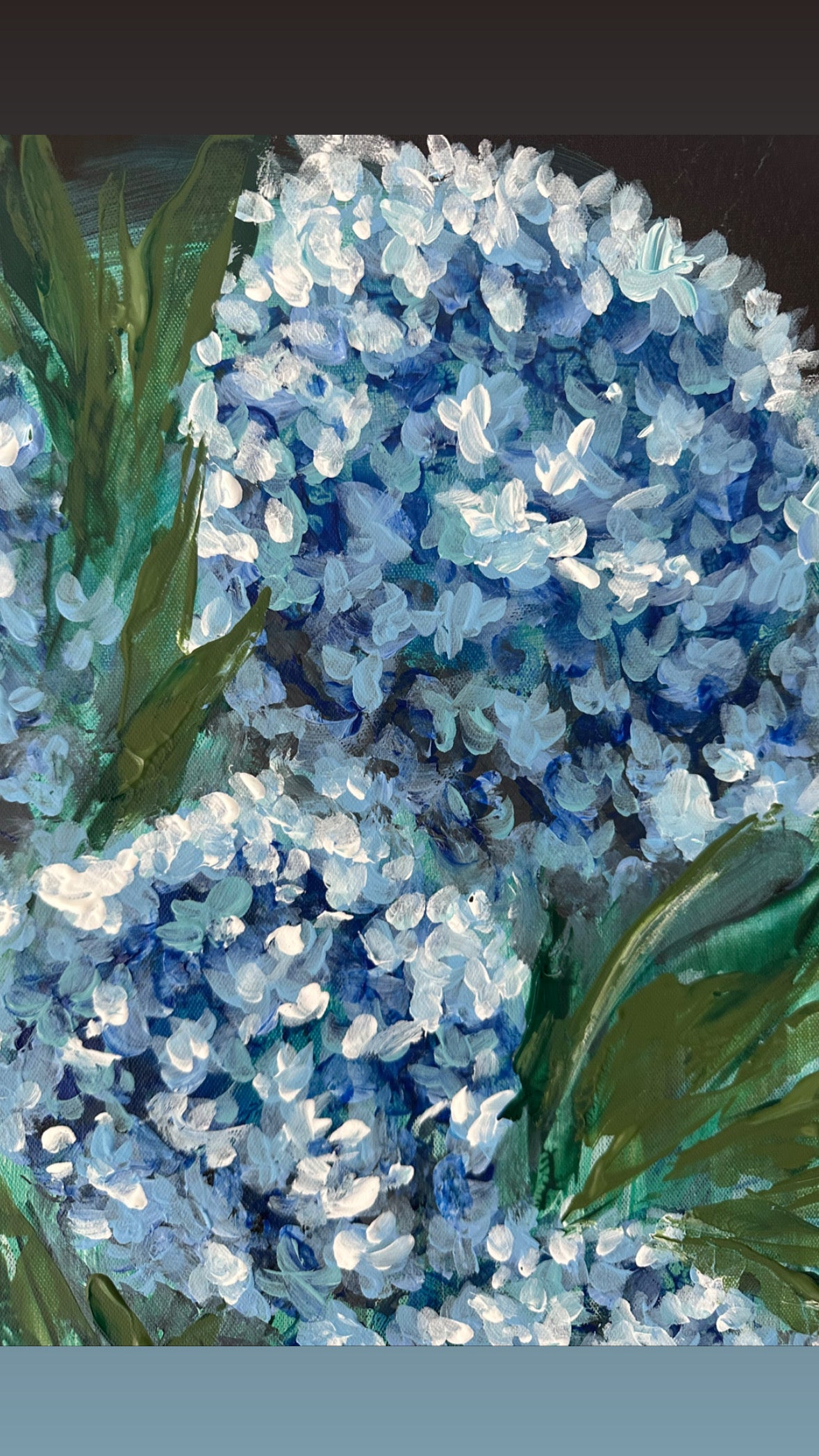 Hortensia blue