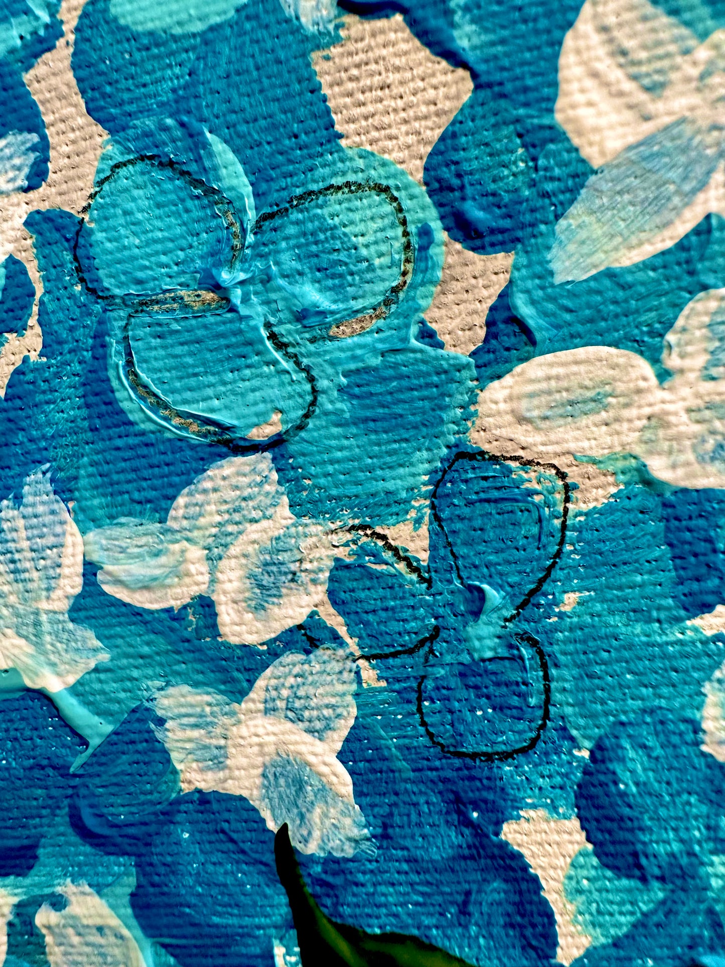 Baby blue hortensia