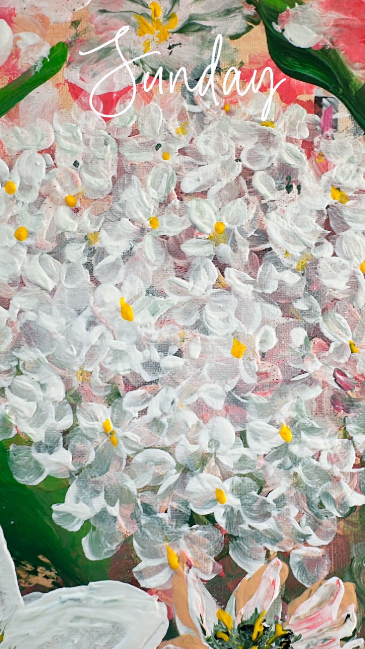 Delight flowers